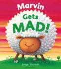 Marvin Gets MAD! - eBook