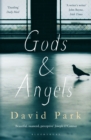 Gods and Angels - Book