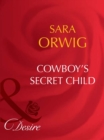 Cowboy's Secret Child - eBook