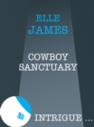 Cowboy Sanctuary - eBook