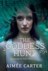 The Goddess Hunt - eBook