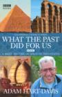 What the past did for us - eBook