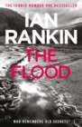 The Flood : From the iconic #1 bestselling author of A SONG FOR THE DARK TIMES - eBook