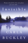 Invisible - eBook