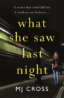 What She Saw Last Night - Book