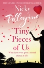 Tiny Pieces of Us - Book