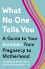What No One Tells You : A Guide to Your Emotions from Pregnancy to Motherhood - Book