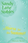 Horse for the Summer - eBook