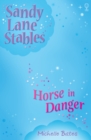 Horse in Danger - eBook