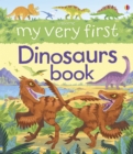 My Very First Dinosaurs Book - Book