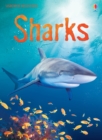 Sharks: For tablet devices : For tablet devices - eBook