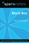 Black Boy (SparkNotes Literature Guide) - eBook