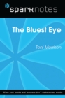 The Bluest Eye (SparkNotes Literature Guide) - eBook