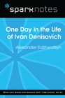 One Day in the Life (SparkNotes Literature Guide) - eBook