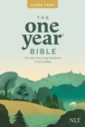 The One Year Bible - Book