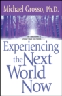 Experiencing the Next World Now - eBook