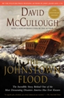 Johnstown Flood - eBook