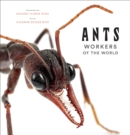 Ants: Workers of the World - Book