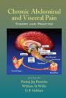 Chronic Abdominal and Visceral Pain : Theory and Practice - eBook