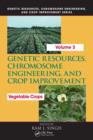 Genetic Resources, Chromosome Engineering, and Crop Improvement : Vegetable Crops, Volume 3 - eBook