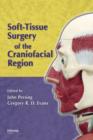 Soft-Tissue Surgery of the Craniofacial Region - eBook