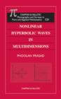 Nonlinear Hyperbolic Waves in Multidimensions - eBook