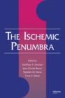 The Ischemic Penumbra - eBook