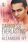 Darkness Everlasting - eBook