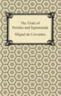 The Trials of Persiles and Sigismunda - eBook