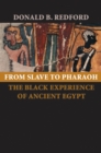 From Slave to Pharaoh - eBook