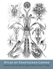 Atlas of Crustacean Larvae - eBook