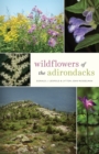 Wildflowers of the Adirondacks - eBook