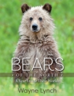 Bears of the North : A Year Inside Their Worlds - Book