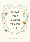 What the Amish Teach Us - eBook