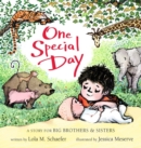 One Special Day : A Story for Big Brothers and Sisters - Book