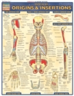 Muscular Origins & Insertions - eBook
