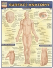 Surface Anatomy - eBook