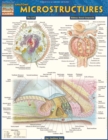 Anatomy Microstructures - eBook