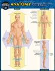 Anatomy - Directions, Planes, Movements & Regions : a QuickStudy Digital Reference Guide - eBook