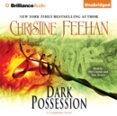 Dark Possession : A Carpathian Novel - eAudiobook
