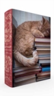 Cat Nap Book Box Puzzle - Book