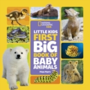 Little Kids First Big Book of Baby Animals - Book