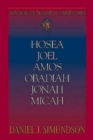 Abingdon Old Testament Commentaries: Hosea, Joel, Amos, Obadiah, Jonah, Micah : Minor Prophets - eBook