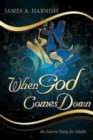 When God Comes Down : An Advent Study for Adults - eBook
