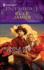 Bundle of Trouble - eBook