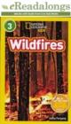 Wildfires - eBook