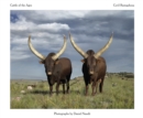 Cattle of the Ages : Ankole cattle in South Africa - Book