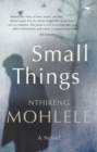 Small Things - eBook