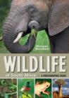 Wildlife of South Africa : A Photographic Guide - eBook