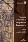 Judicial Activism in Comparative Perspective - eBook
